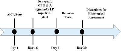 Rosmarinus officinalis and Methylphenidate Exposure Improves Cognition and Depression and Regulates Anxiety-Like Behavior in AlCl3-Induced Mouse Model of Alzheimer’s Disease